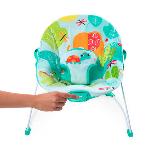 Bouncers Bright Starts Raindrop Rainforest Baby Bouncer was sold for